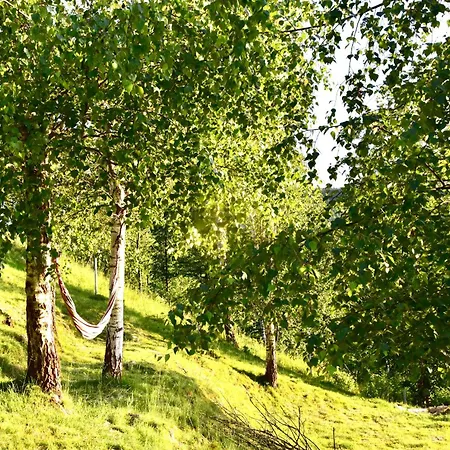 Dolina Popradu