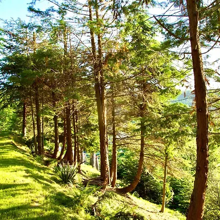 דירה Nad Potokiem *