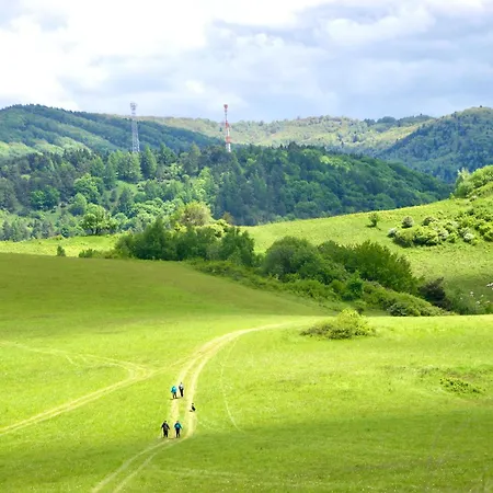Nad Potokiem Appartement Muszyna