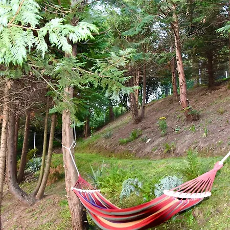 Apartment Dolina Popradu *