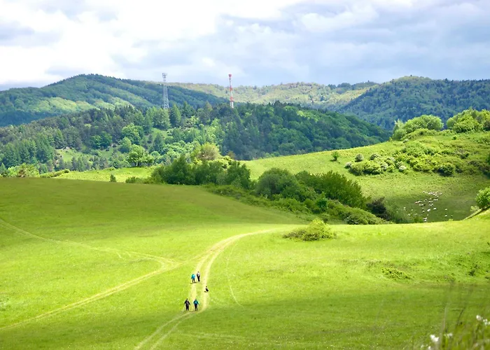 Nad Potokiem Apartment Muszyna
