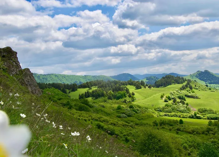 Nad Potokiem Apartment *